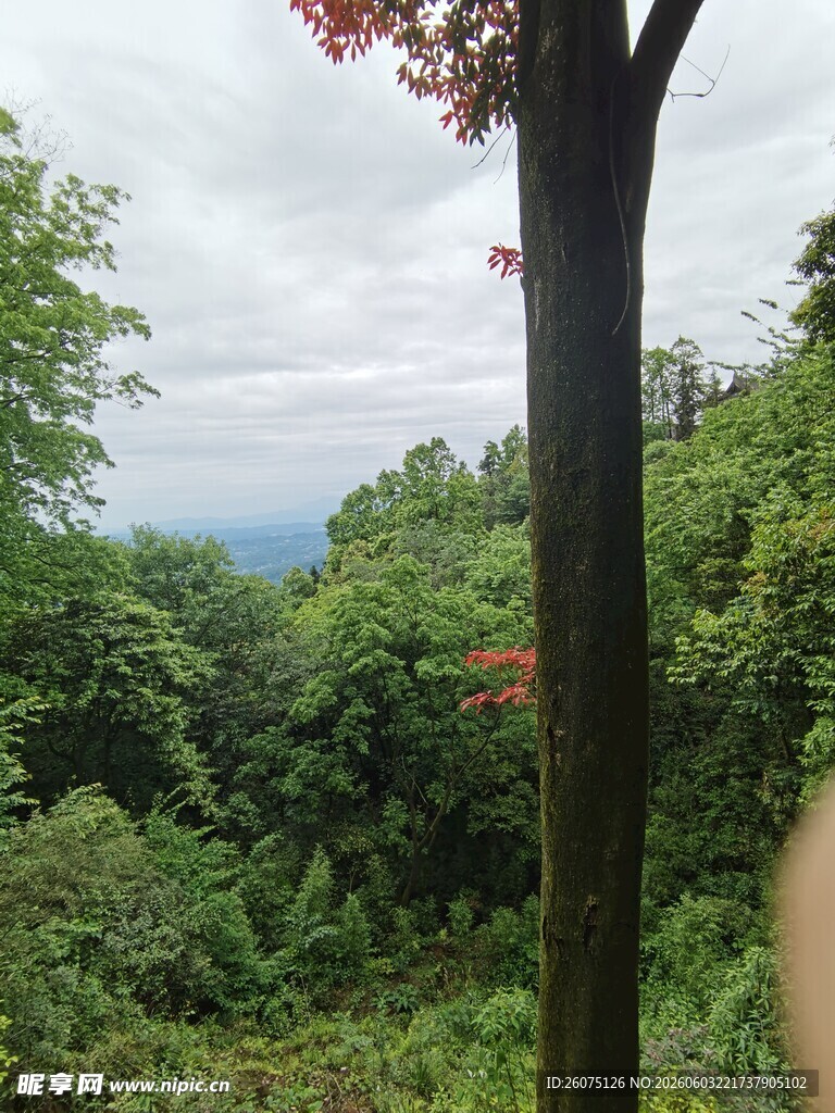 山林葱郁间的自然景致