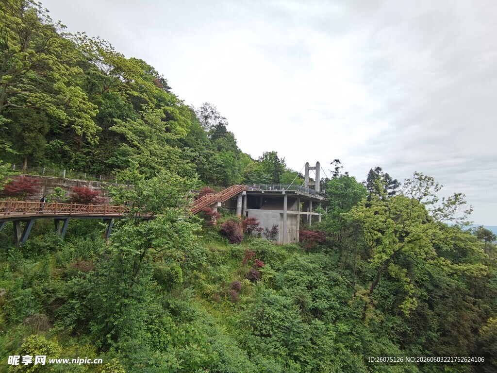 山林中的隐秘小屋
