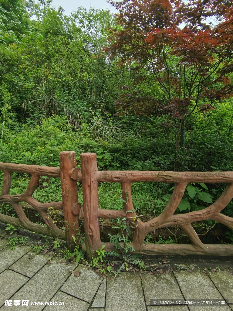 木质围栏旁的繁茂绿植