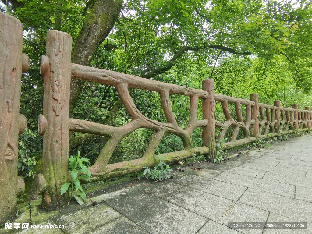林间木栅栏小道风景
