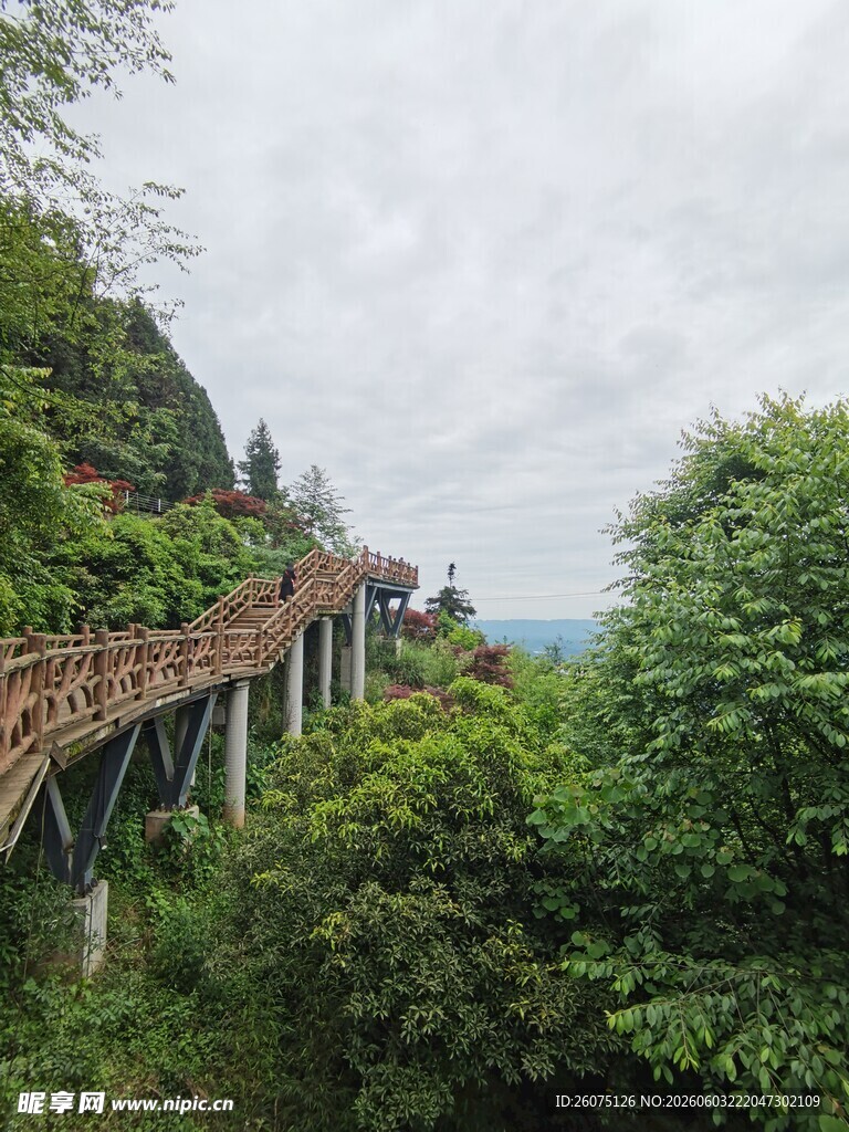 山间栈道蜿蜒于翠绿山林
