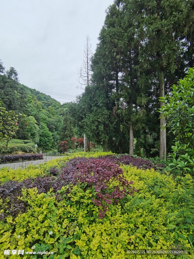 园林多彩植物景观