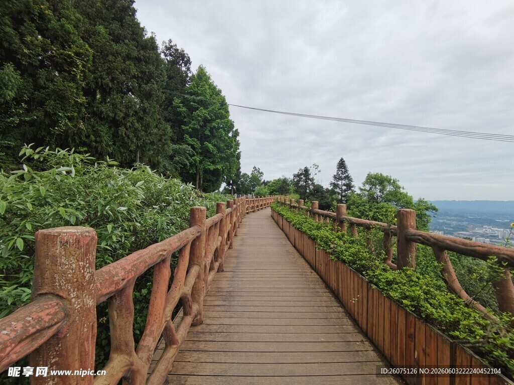 山间木质栈道的清新景致