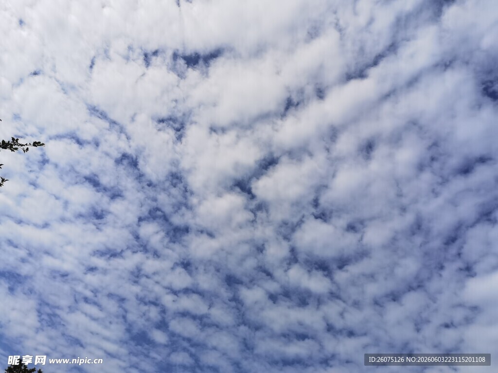 天空中的美丽絮状云朵