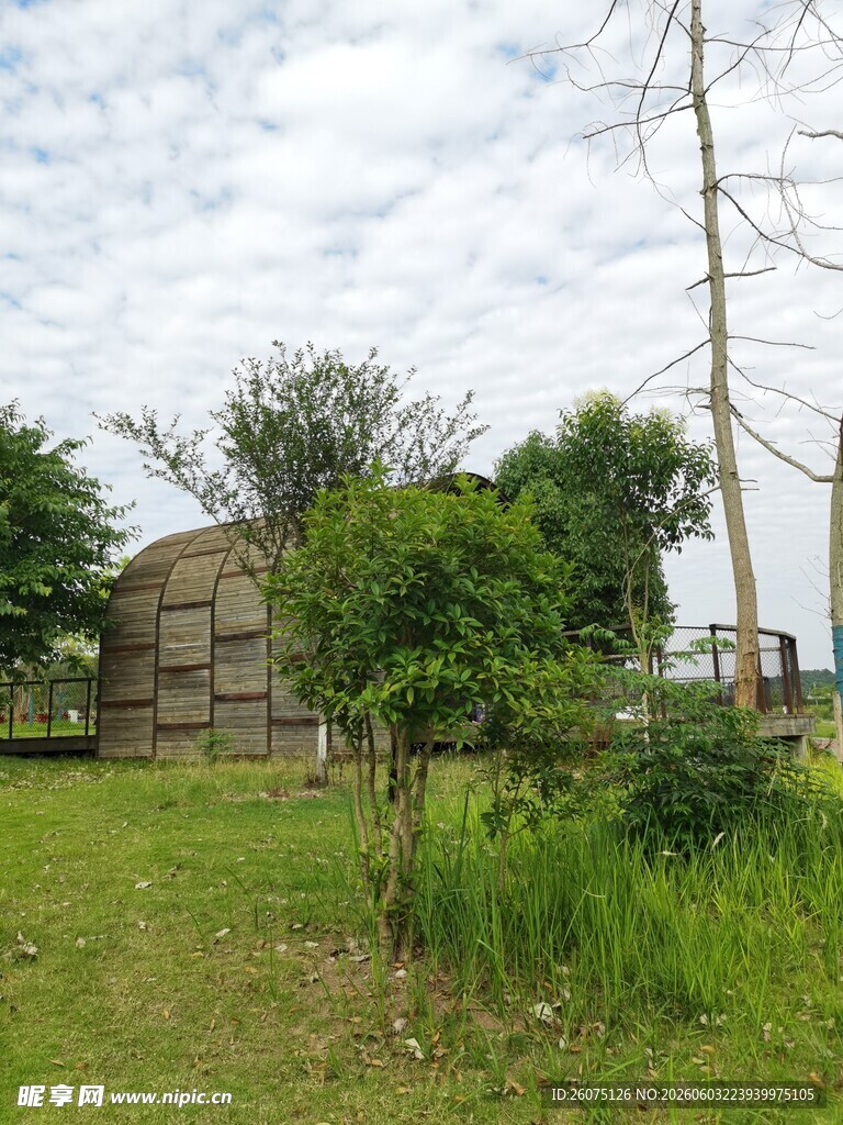 户外绿植环绕的独特建筑