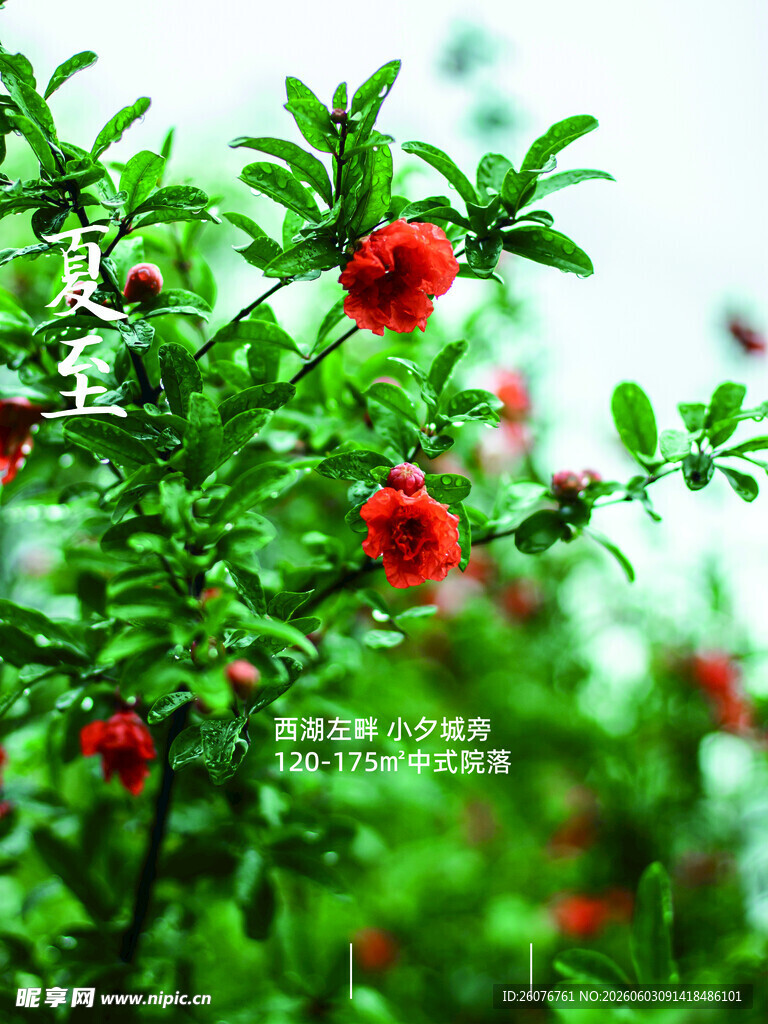 夏至 