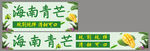 海南青芒 芒果