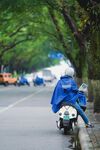 雨中停放的蓝色罩布电动车