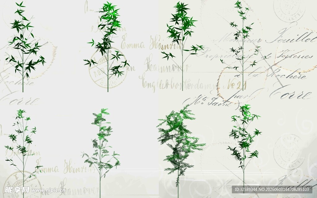 清新绿植插画