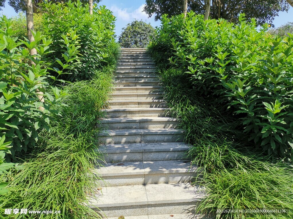 绿意盎然的石阶小径