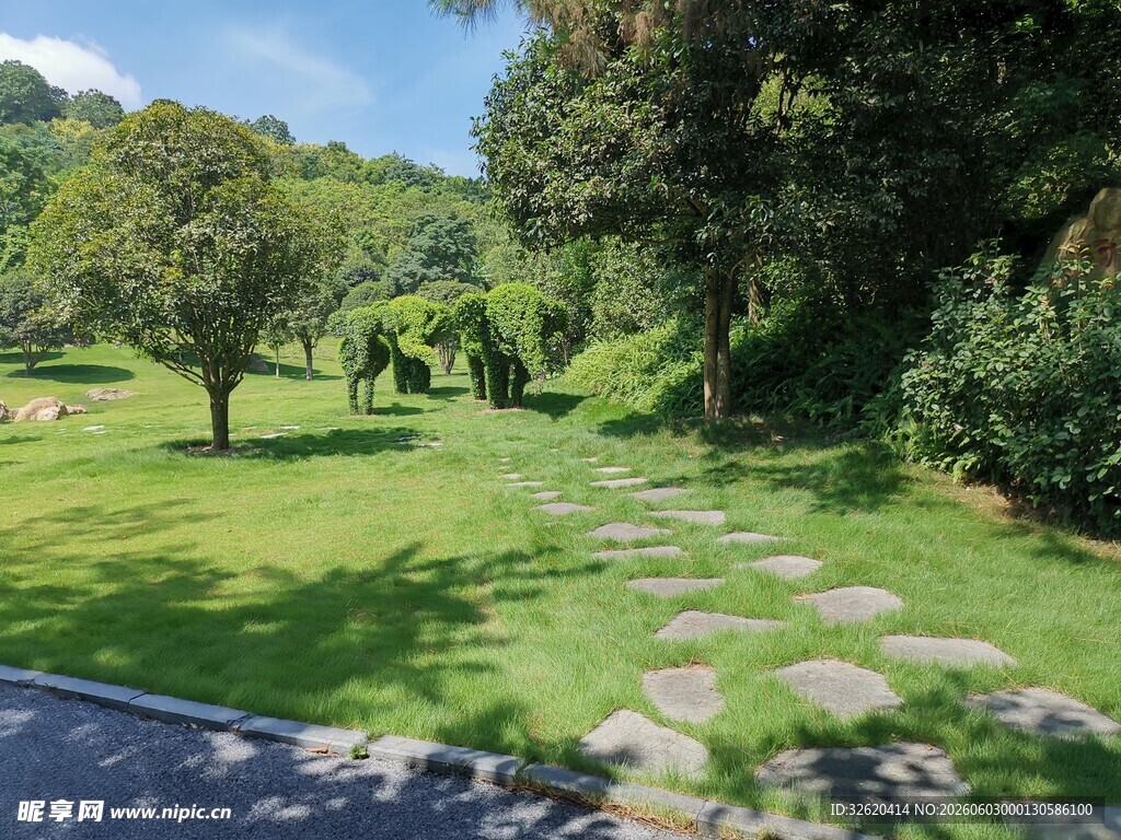 林间石板小径