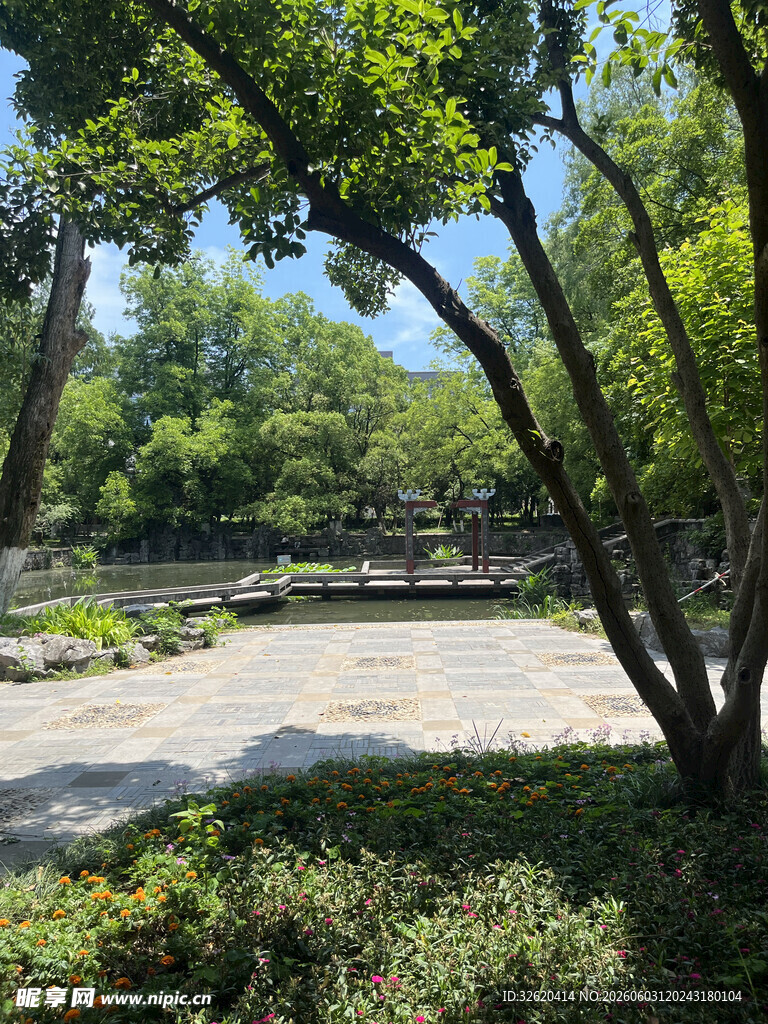 静谧园林景观