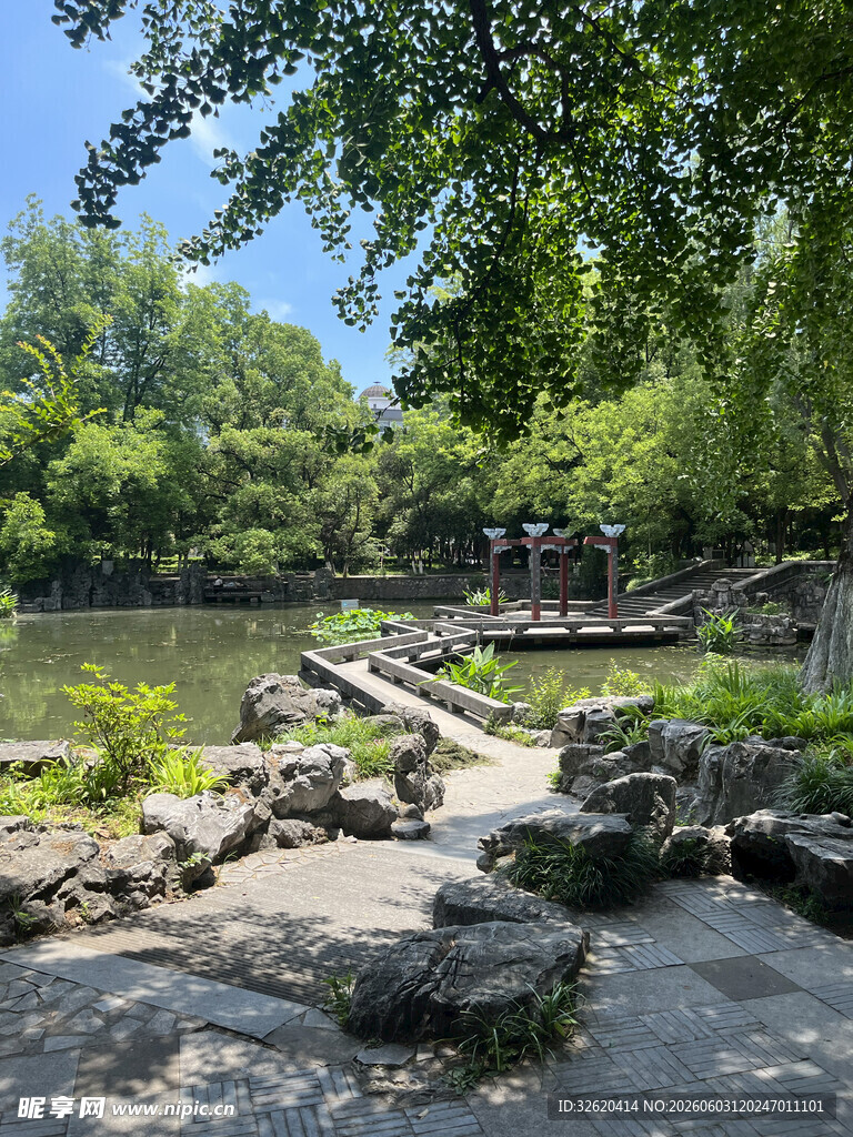 河畔绿荫下的静谧风景