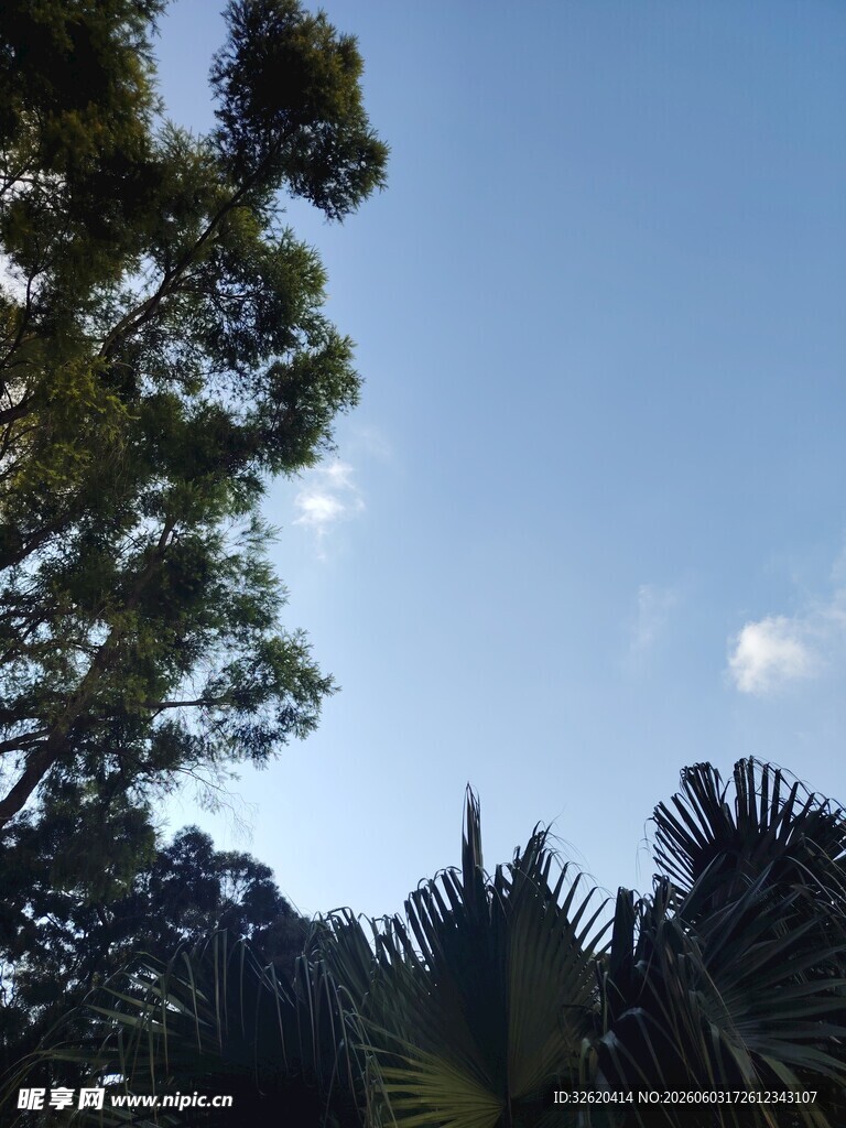 蓝天绿树间的自然景致