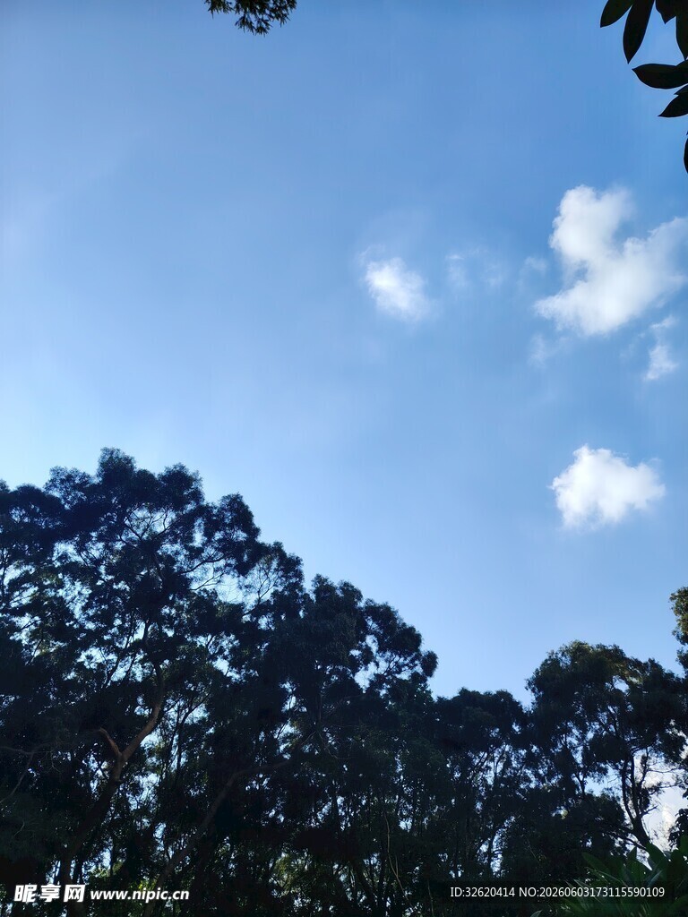 蓝天绿树间的自然景致