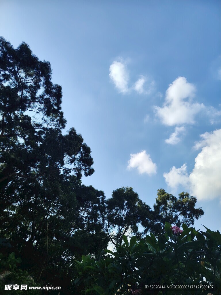 蓝天绿树间的白云景致