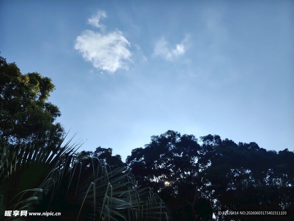 蓝天绿树间的清新景致