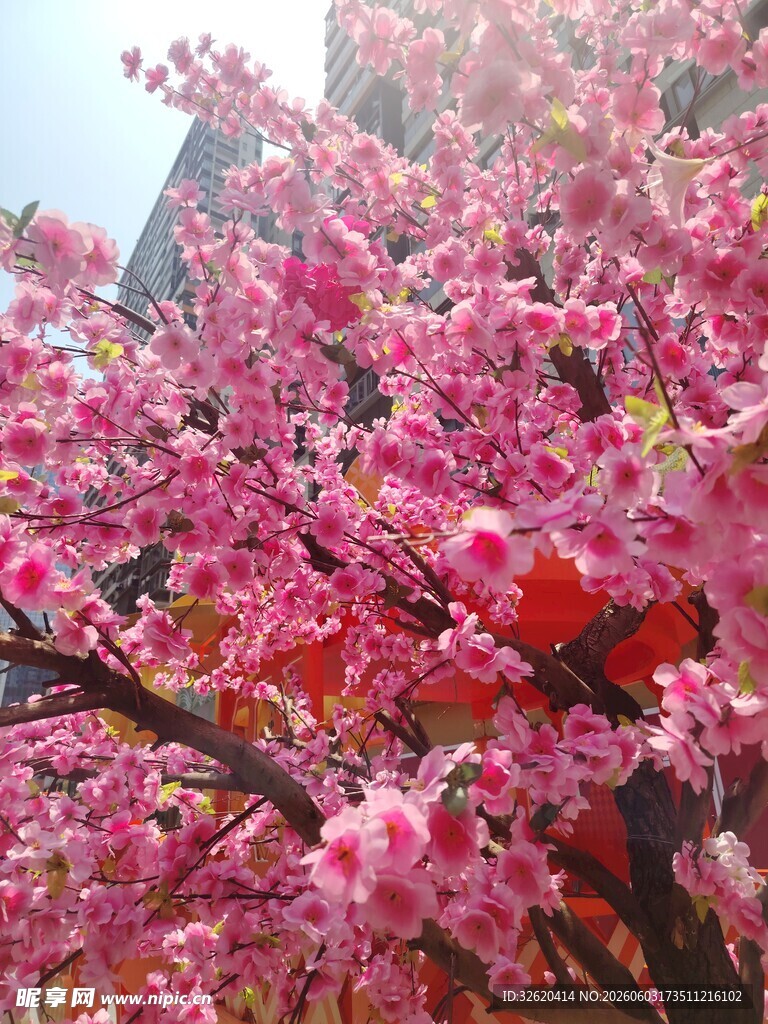 盛开的粉色繁花