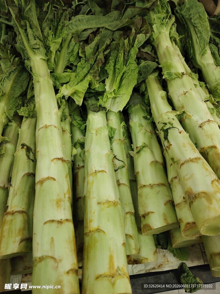 莴笋 
