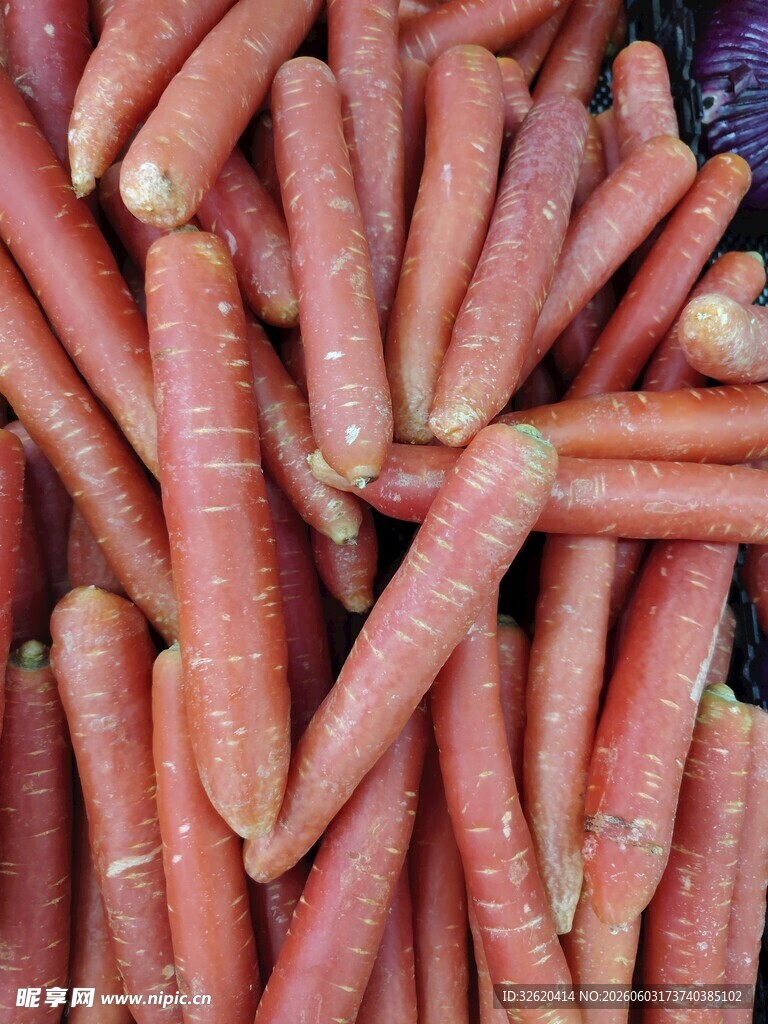 新鲜胡萝卜堆叠