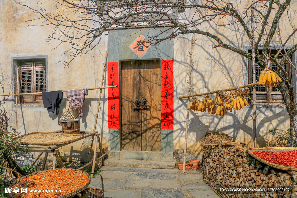 冬日乡村小院温馨景象