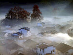 雾中乡村美景