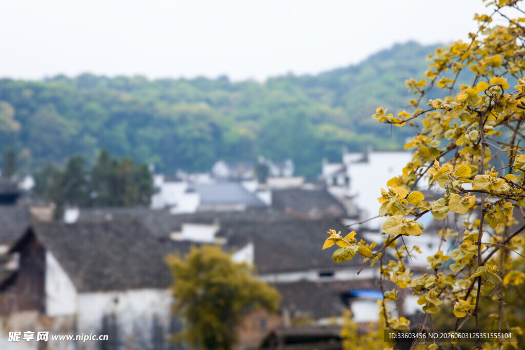 春日乡村景致