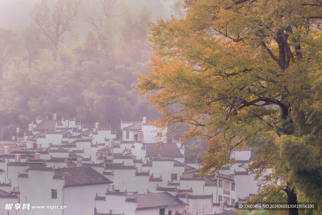 秋日雾中徽派村落美景