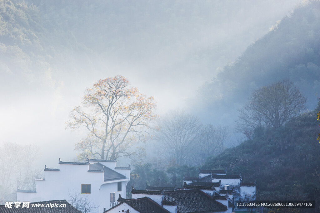 雾中乡村美景