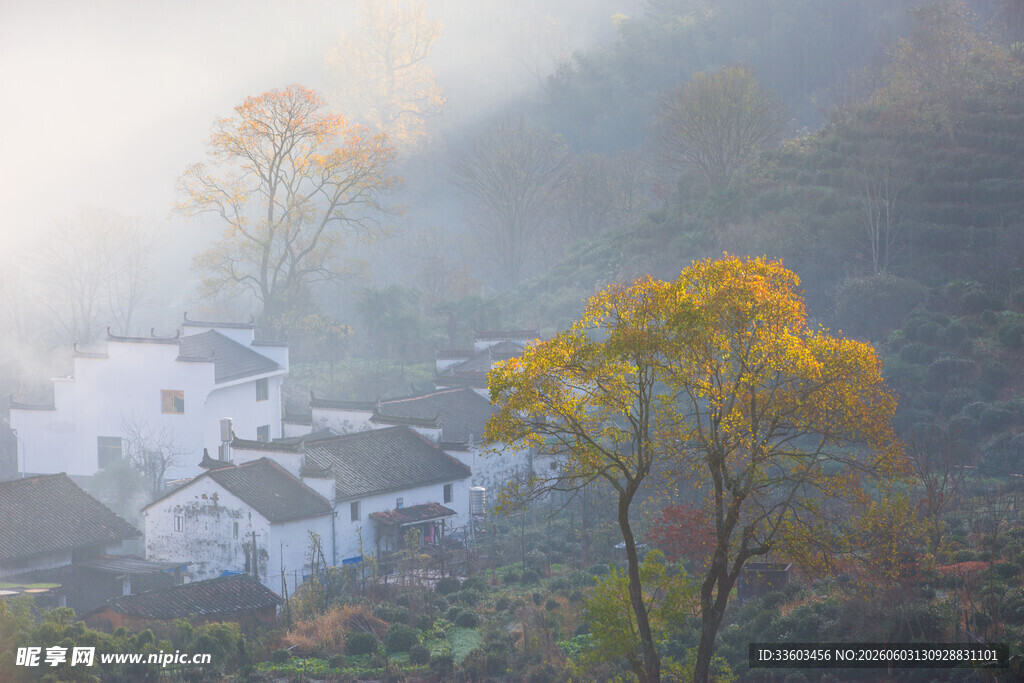 雾中乡村秋景图