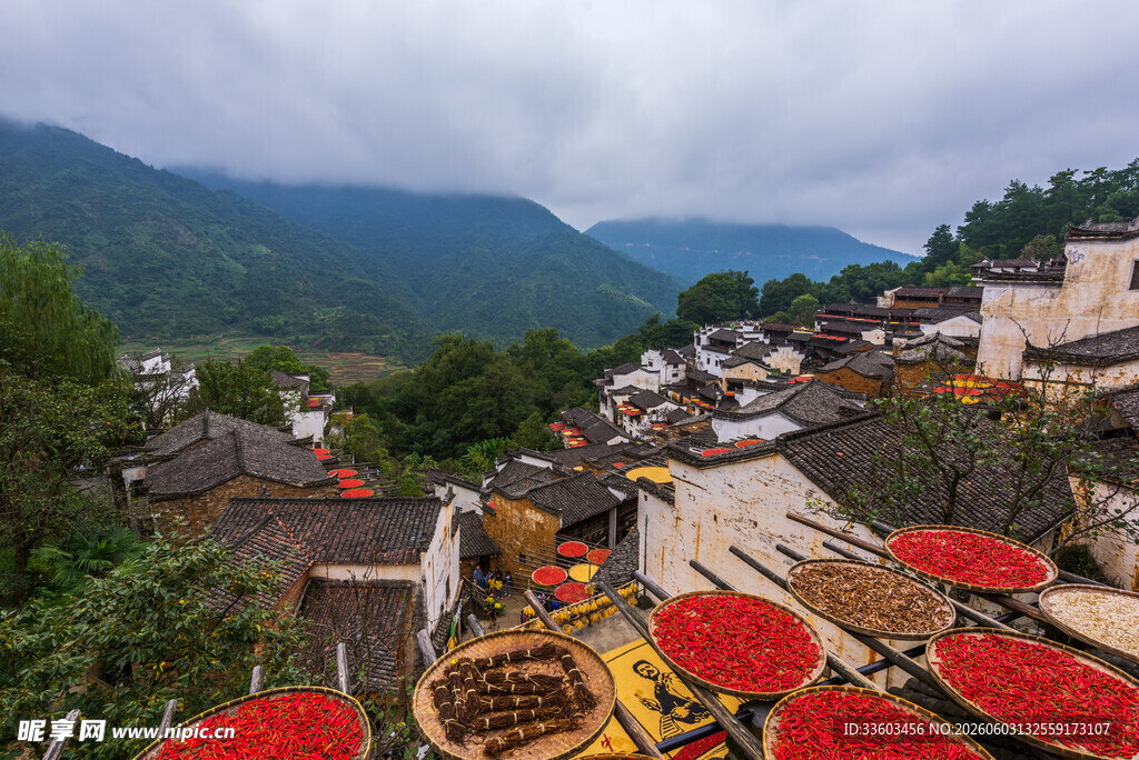 山村晒秋美景