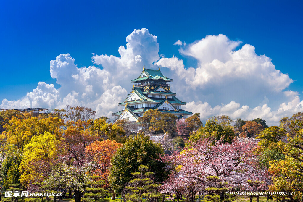 大阪城公园樱花与城堡美景