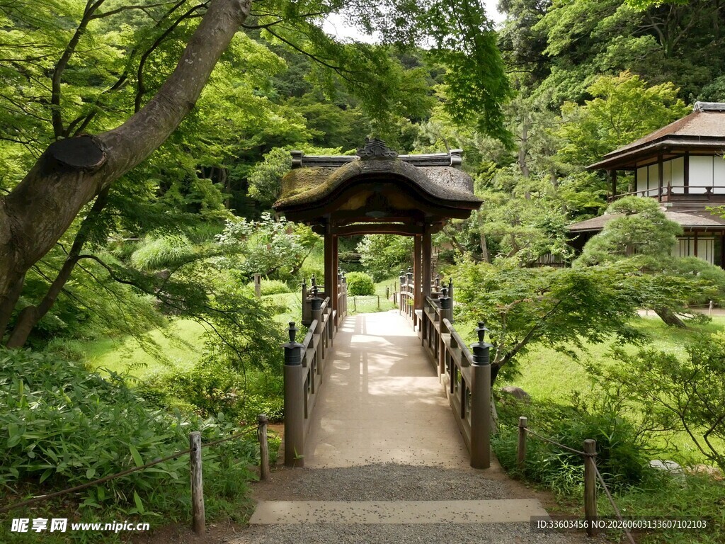 日式林间禅意小径景观