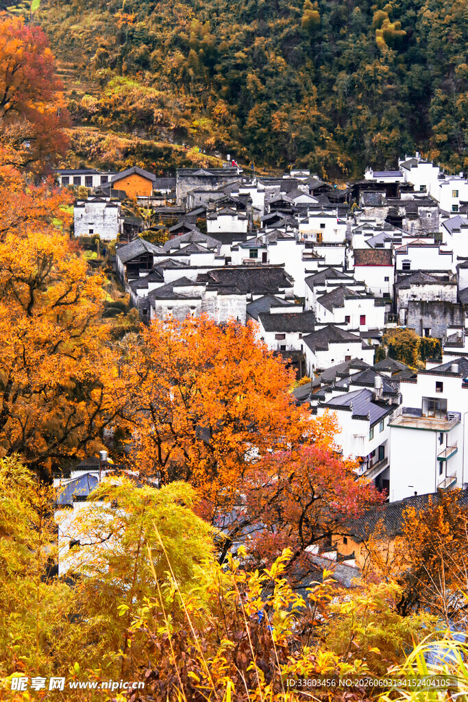 秋日山村缤纷景致
