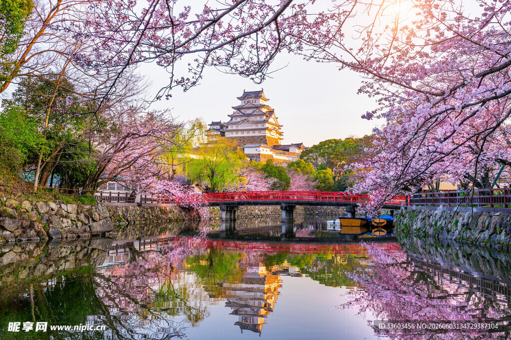 春日樱花下的古典建筑美景