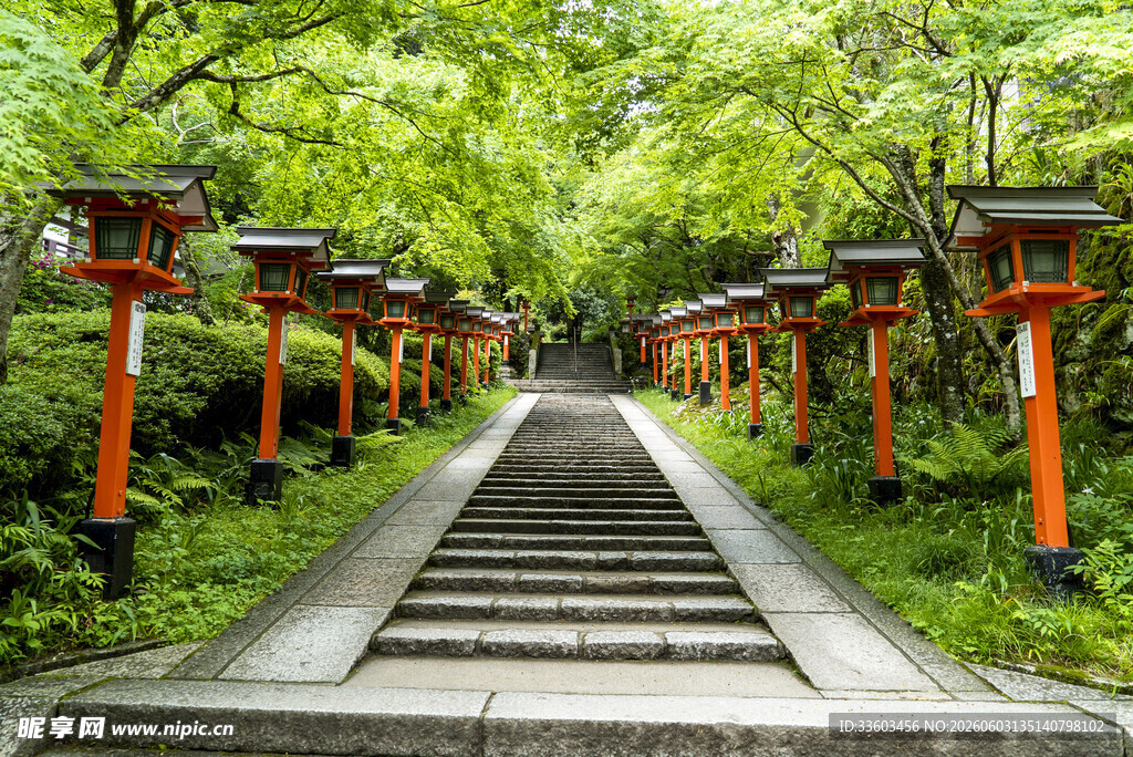 林间朱色鸟居阶梯美景