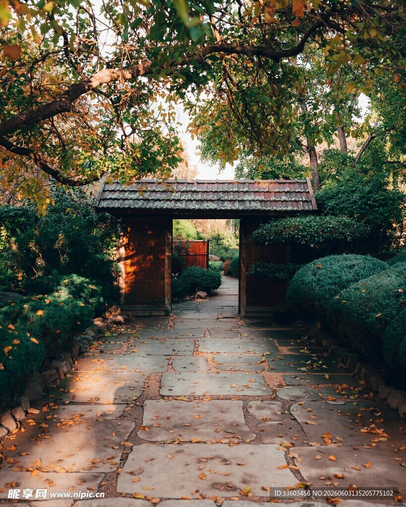 幽静庭院中的林间小道