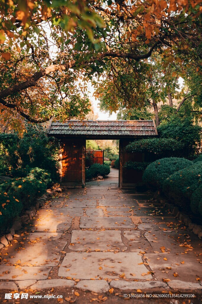 秋日庭院石板小径美景