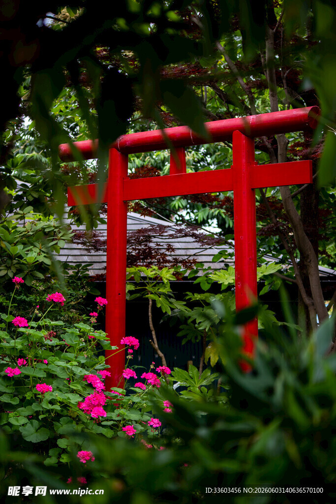 日式鸟居隐于繁花绿植间