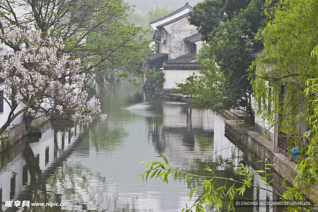 江南水乡春日河畔美景