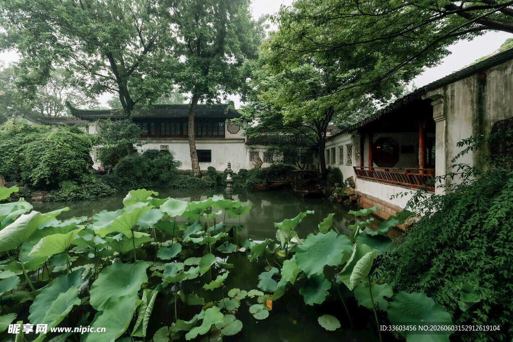 庭院绿植环绕的静谧小屋