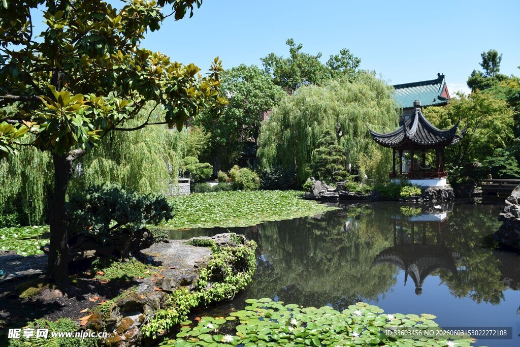 中式园林池塘美景