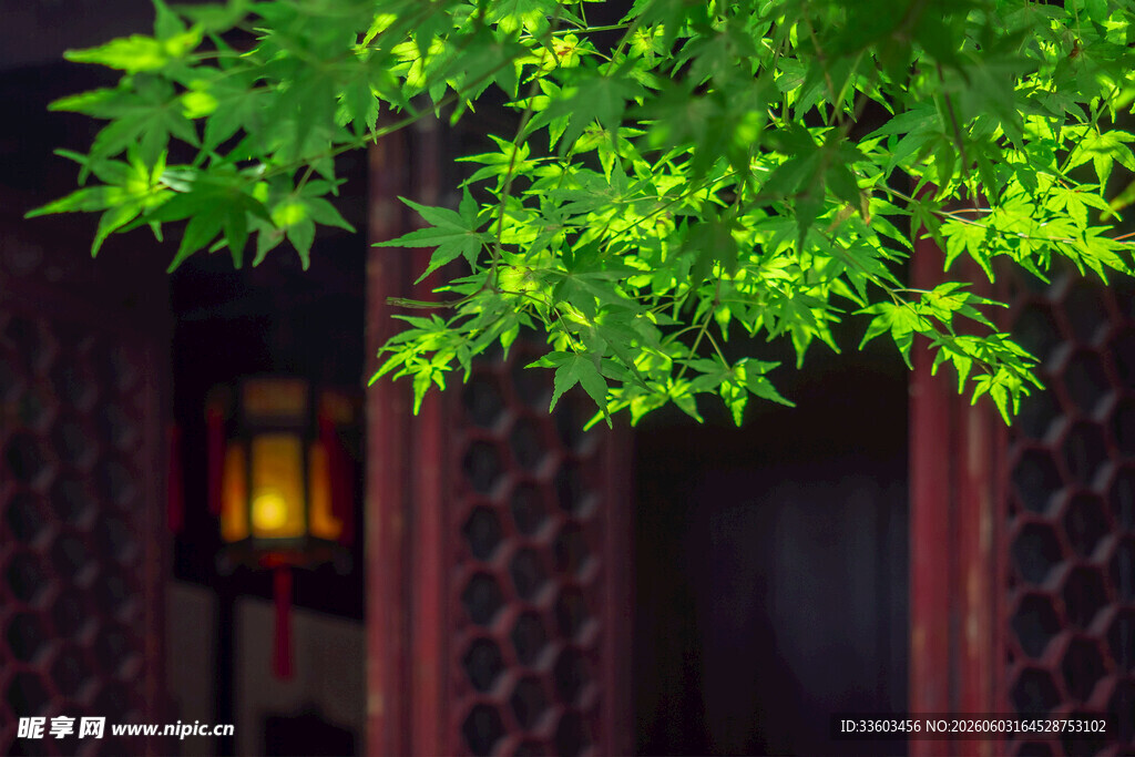 绿叶掩映下的中式建筑一角