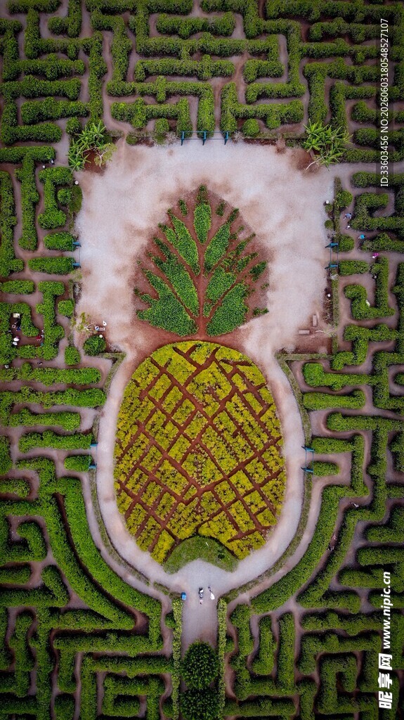 菠萝造型的园林迷宫景观