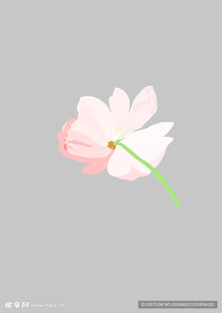 简约粉色花朵插画