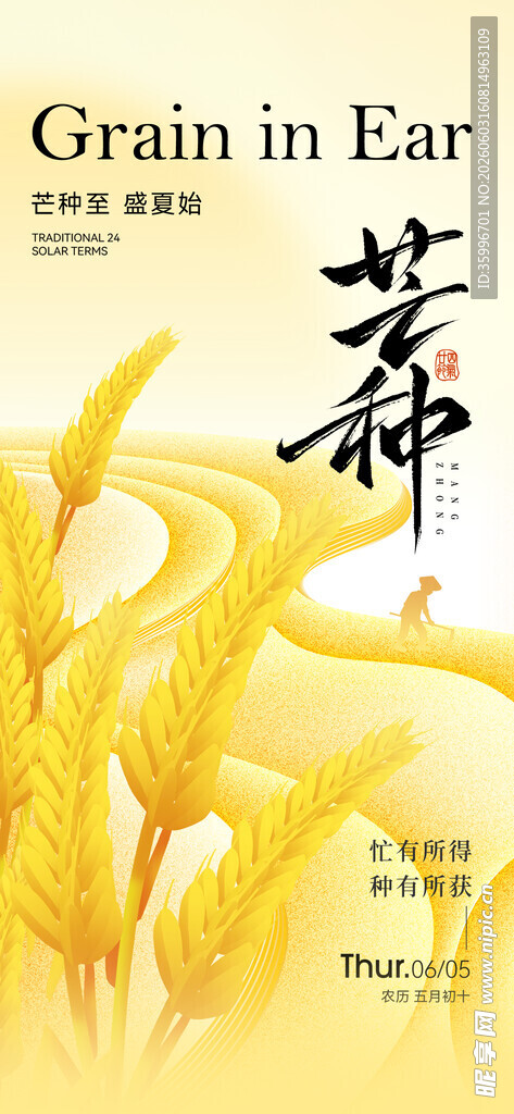 芒种海报