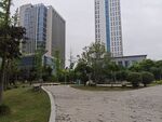 城市公园旁的高楼景观