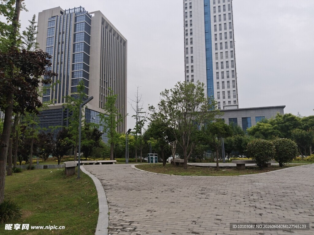 城市公园旁的高楼景观