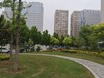 城市公园