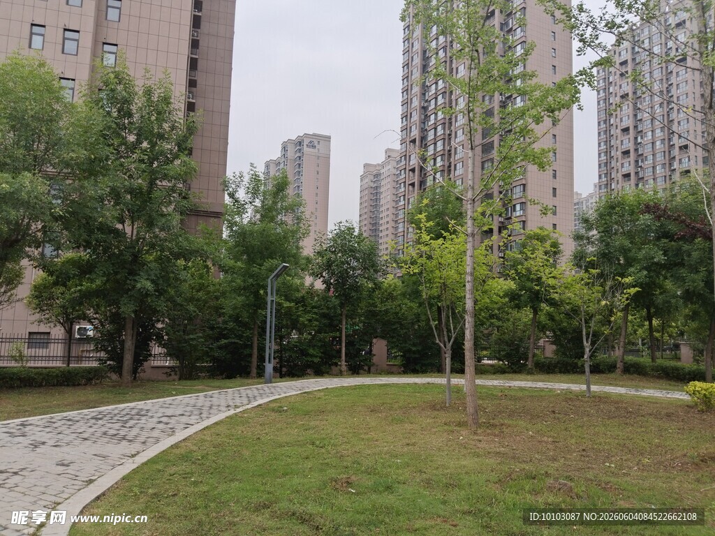 绿地与高楼景观